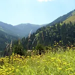 Alpstuga Huski Viehhofen *
