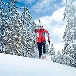 Huski Viehhofen Saalbach-Hinterglemm