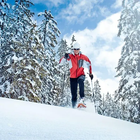 Huski Viehhofen Saalbach-Hinterglemm