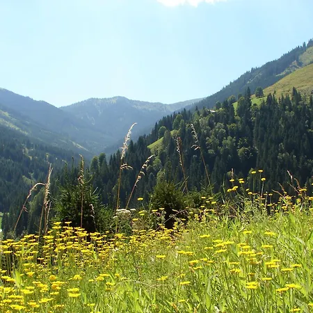 Domek alpejski Huski Viehhofen *
