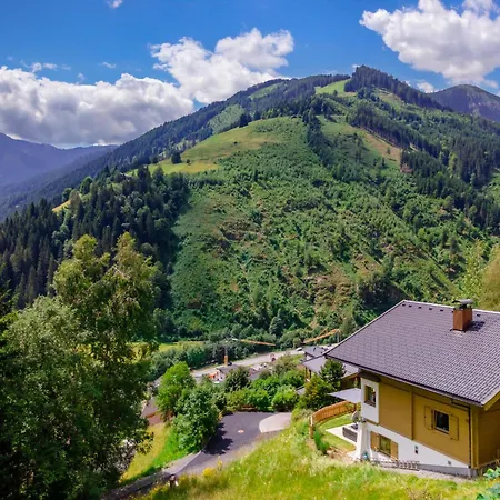 Alpehytte Huski Viehhofen