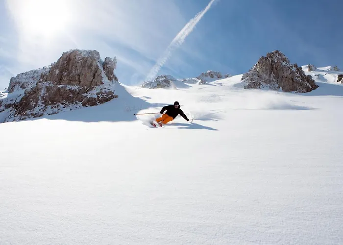 Chalet Huski Viehhofen *