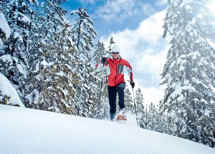 Huski Viehhofen Saalbach-Hinterglemm