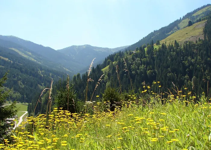 Chalet Huski Viehhofen *