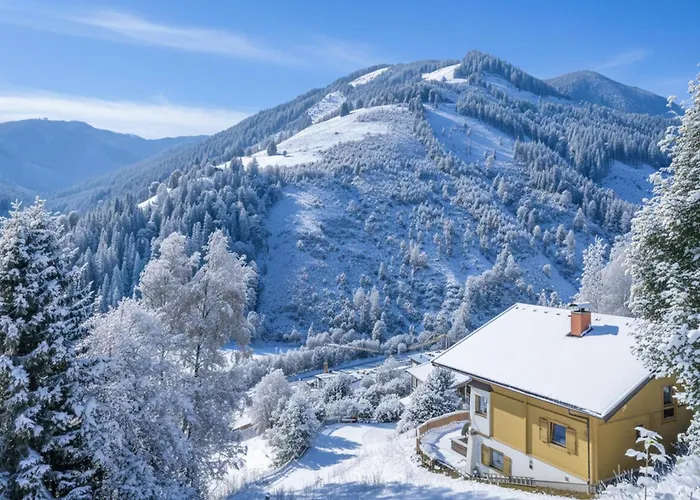 Huski Viehhofen * Saalbach-Hinterglemm